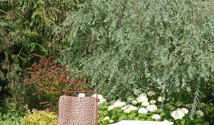 Działka rod Częstochowa Stradom