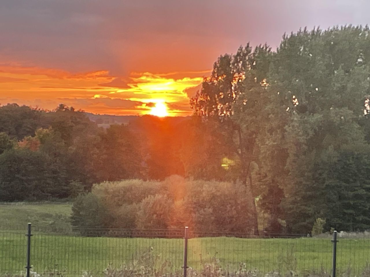 Działka rolno-budowlana Żałe. Zdjęcie 8