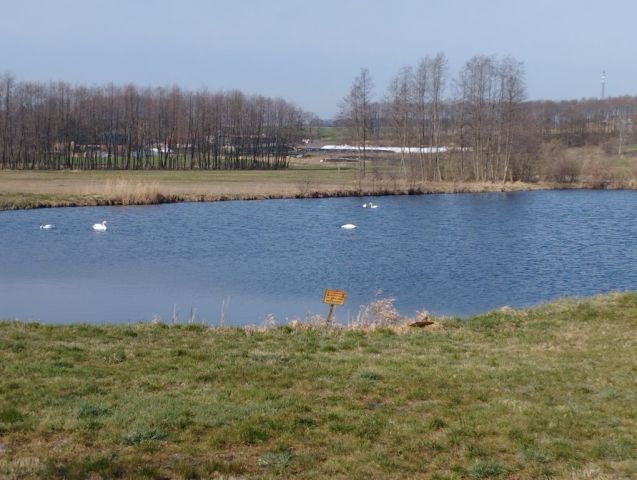 Działka rolna Sierpowo. Zdjęcie 1
