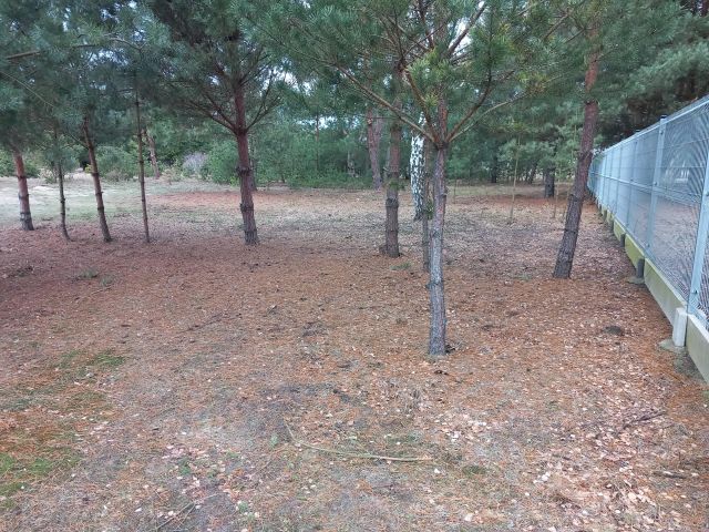 Działka budowlana Budki Żelazowskie. Zdjęcie 1