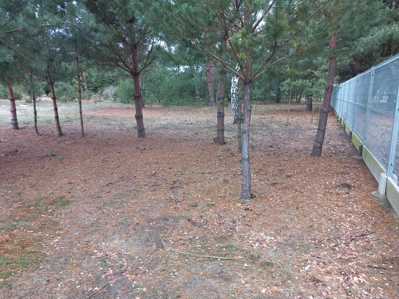 Działka budowlana Budki Żelazowskie. Zdjęcie 1