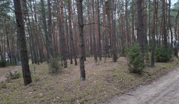Działka leśna Krajęczyn