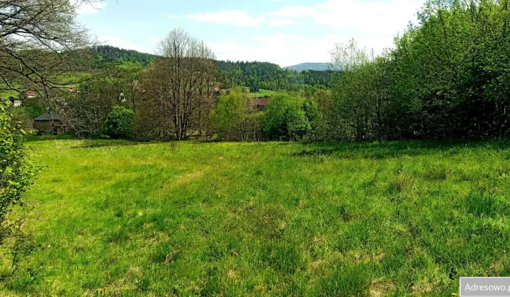 Działka budowlana Krzeszów