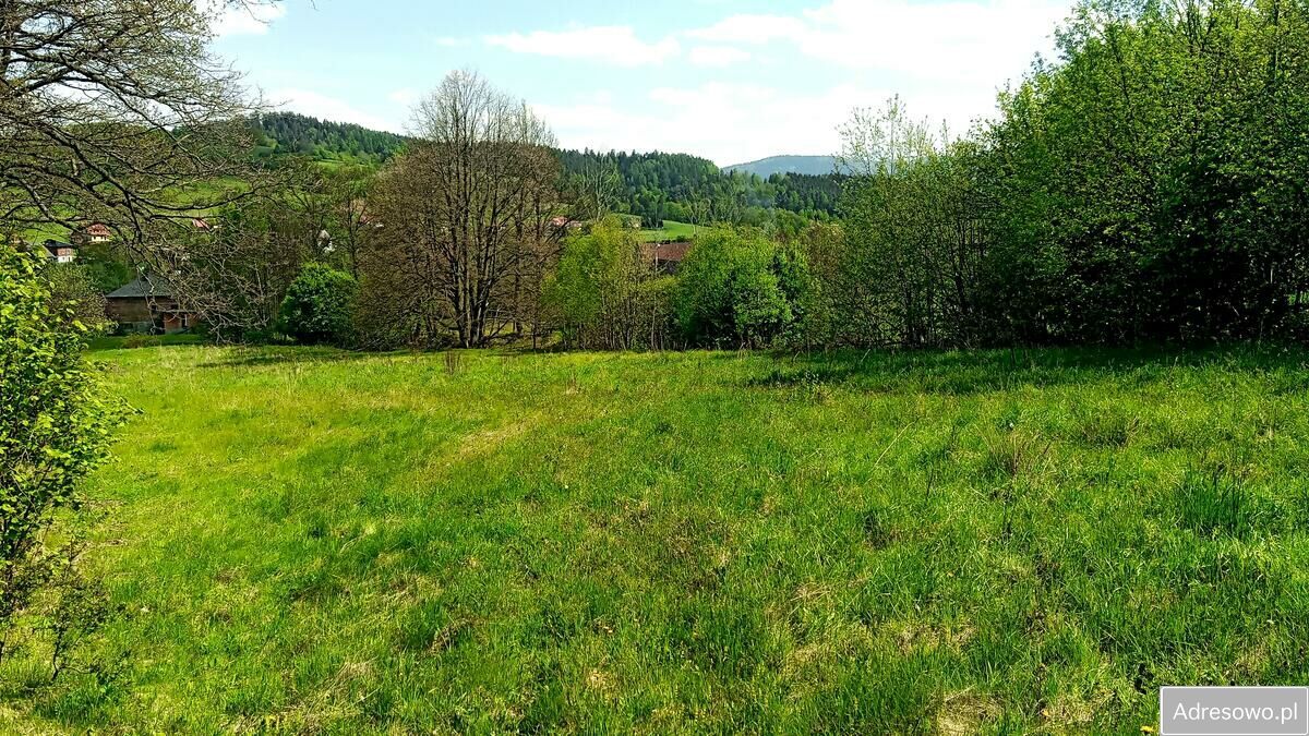 Działka budowlana Krzeszów