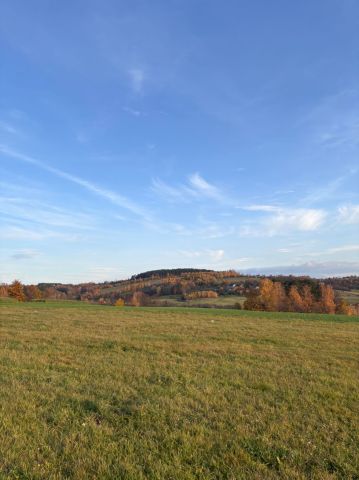 Działka budowlana Owieczka. Zdjęcie 1