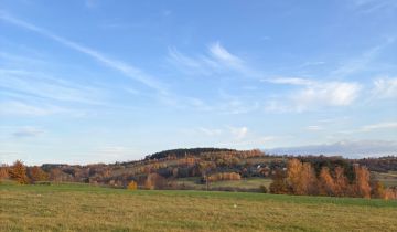 Działka budowlana Owieczka