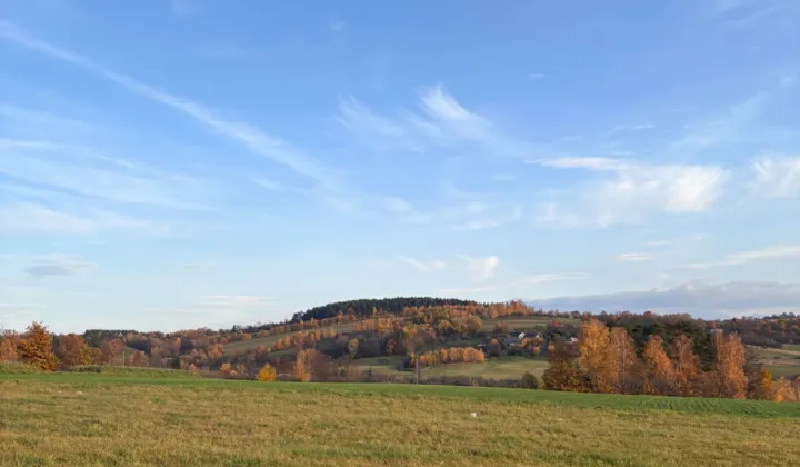 Działka budowlana Owieczka
