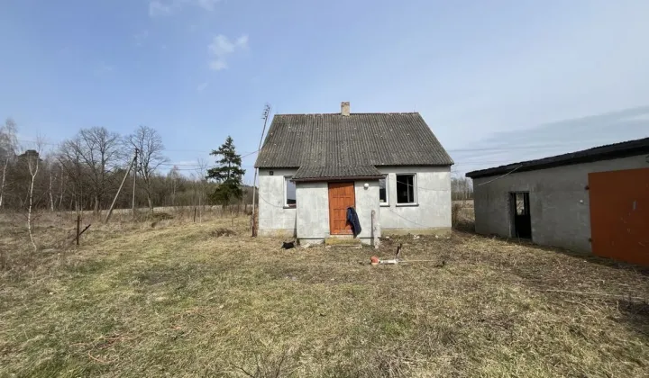 gospodarstwo Trzepnica