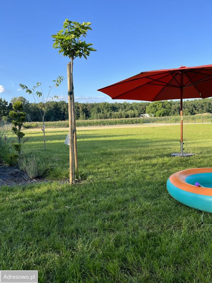 Działka siedliskowa Krzeptów, ul. Gajowa. Zdjęcie 7