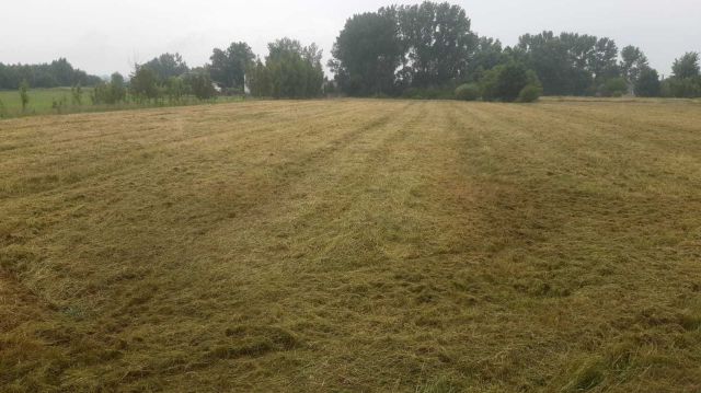 Działka budowlana Piasek Wielki. Zdjęcie 1