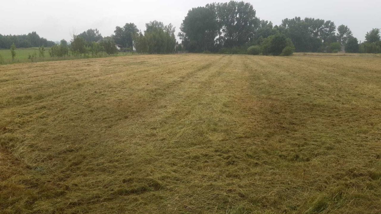 Działka budowlana Piasek Wielki. Zdjęcie 1