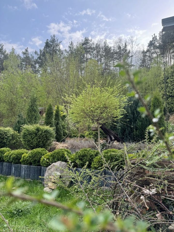 Działka rod Iława, ul. Podleśna. Zdjęcie 7