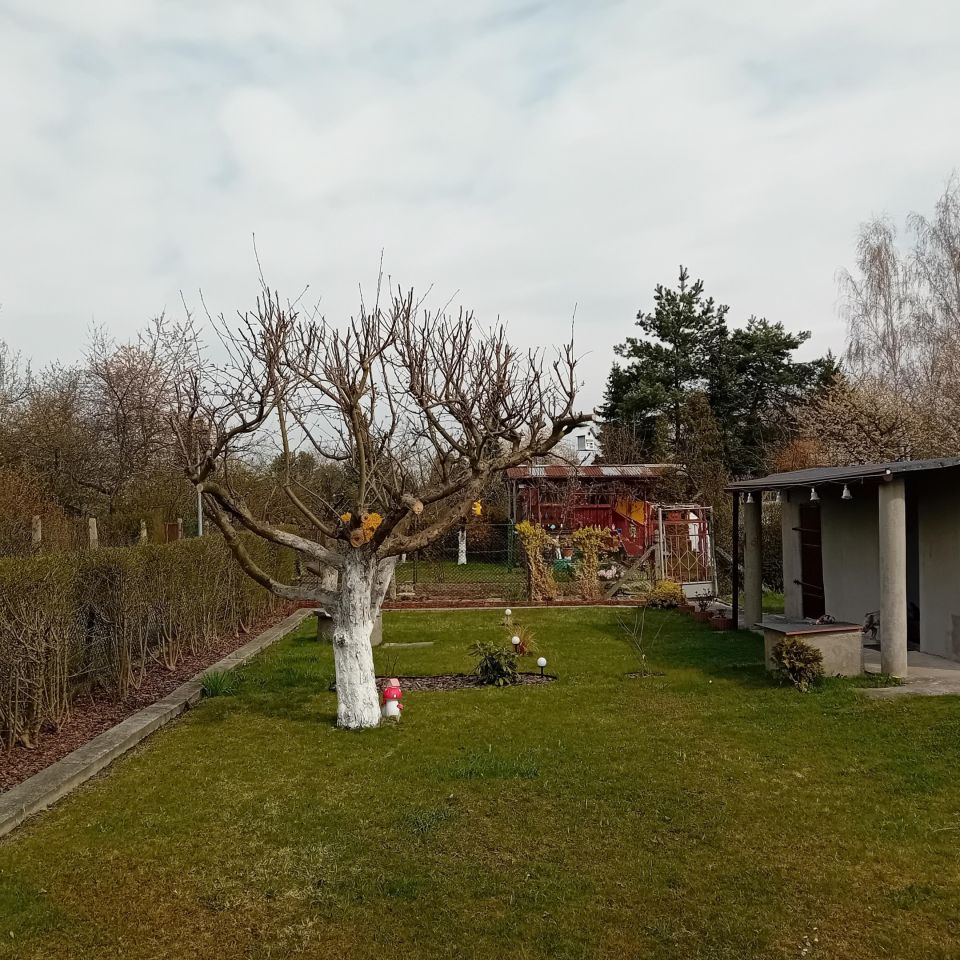 Działka rod Gliwice, ul. Rybnicka. Zdjęcie 8