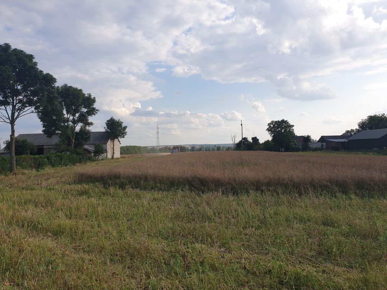 dom wolnostojący, 4 pokoje Czernięcin Poduchowny. Zdjęcie 29