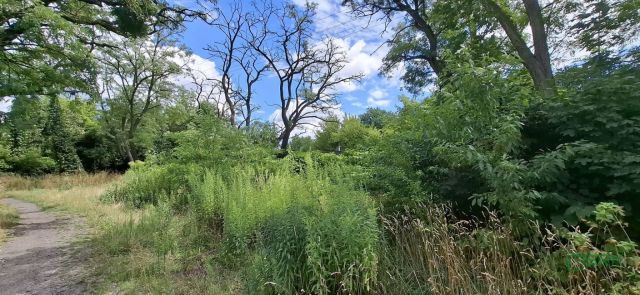 Działka inna Sosnowiec, ul. Adama Śliwki. Zdjęcie 7