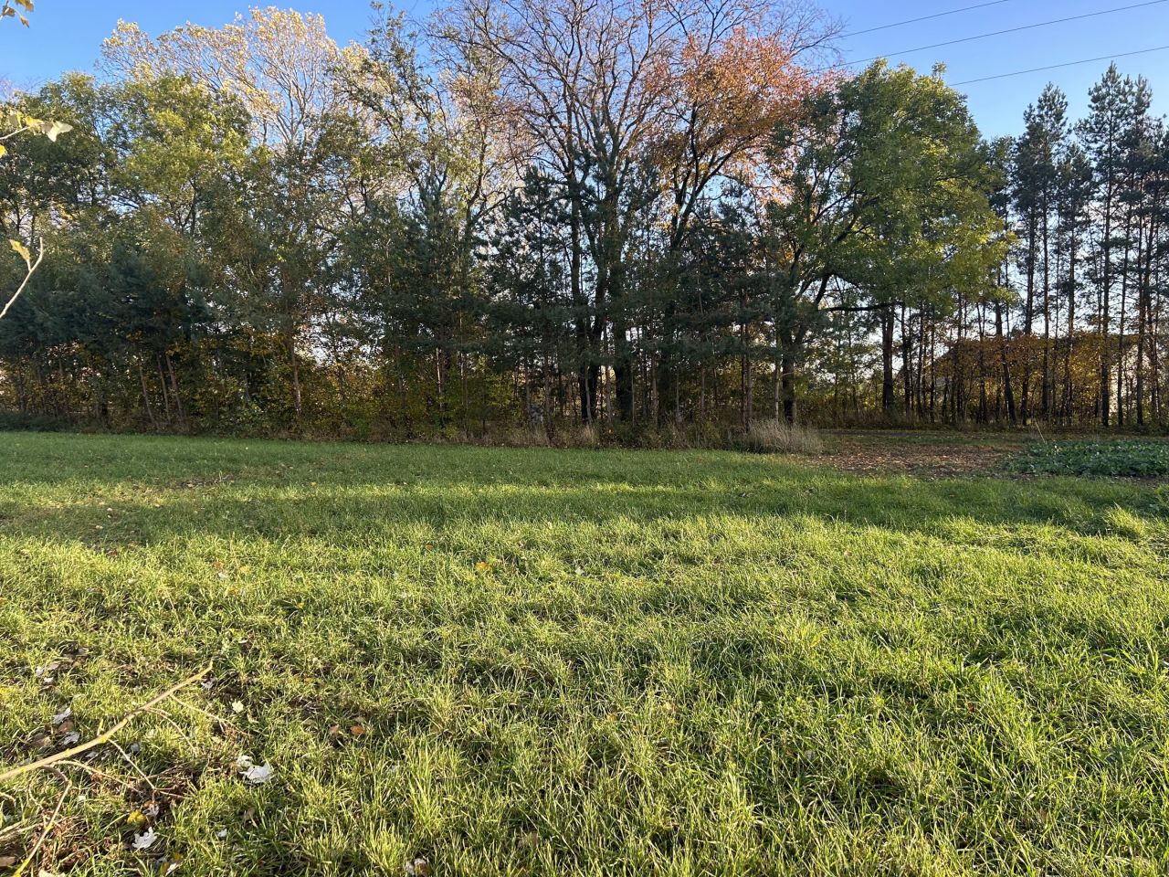 Działka rolno-budowlana Imiołki. Zdjęcie 4