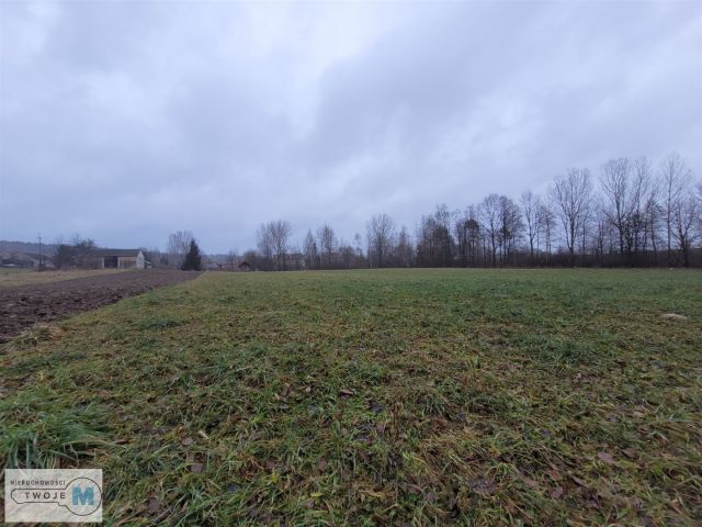 Działka rolna Bodzentyn. Zdjęcie 11