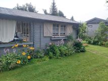 Działka rod Nowe Iganie. Zdjęcie 2