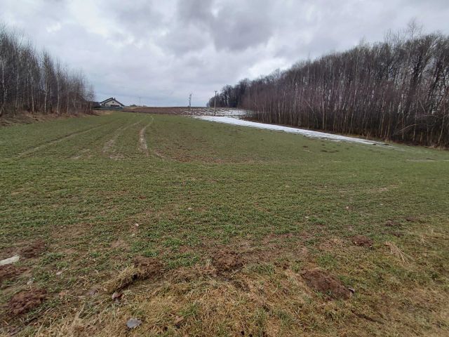 Działka budowlana Ropczyce, ul. Kolonia. Zdjęcie 1