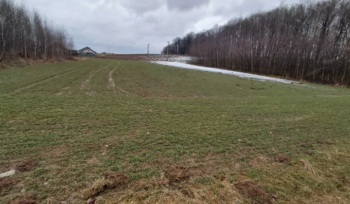 Działka budowlana Ropczyce, ul. Kolonia