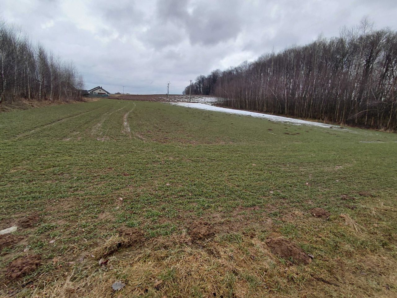 Działka budowlana Ropczyce, ul. Kolonia. Zdjęcie 1