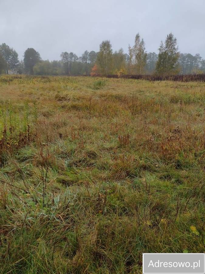 Działka rolna Zielony Kąt. Zdjęcie 1