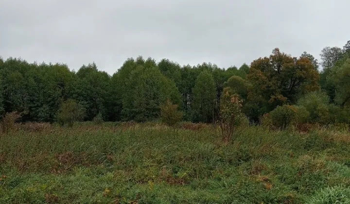 Działka rolna Sionna