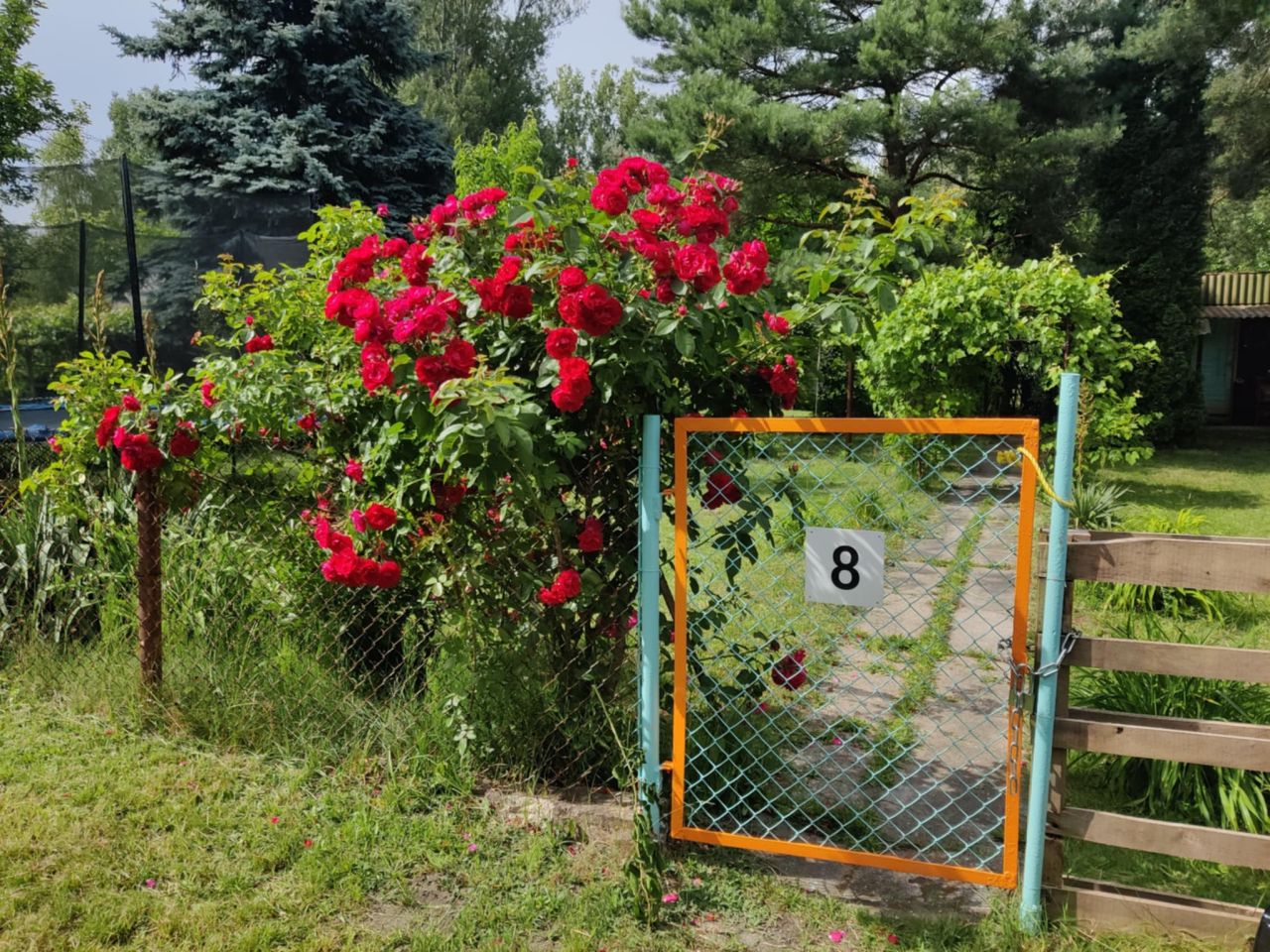 Działka rod Warszawa Włochy, ul. Paluch. Zdjęcie 6