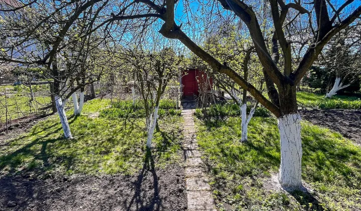 Działka rod Racibórz Centrum, ul. Warszawska