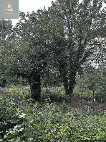 Działka budowlana Poznań Naramowice. Zdjęcie 8