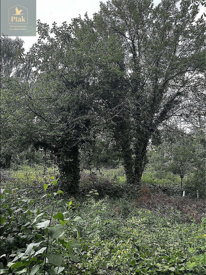 Działka budowlana Poznań Naramowice. Zdjęcie 8