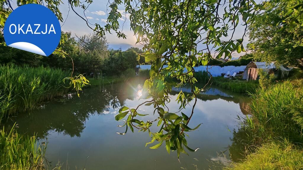 Działka budowlana Dębno, ul. Powstańców Wlkp.