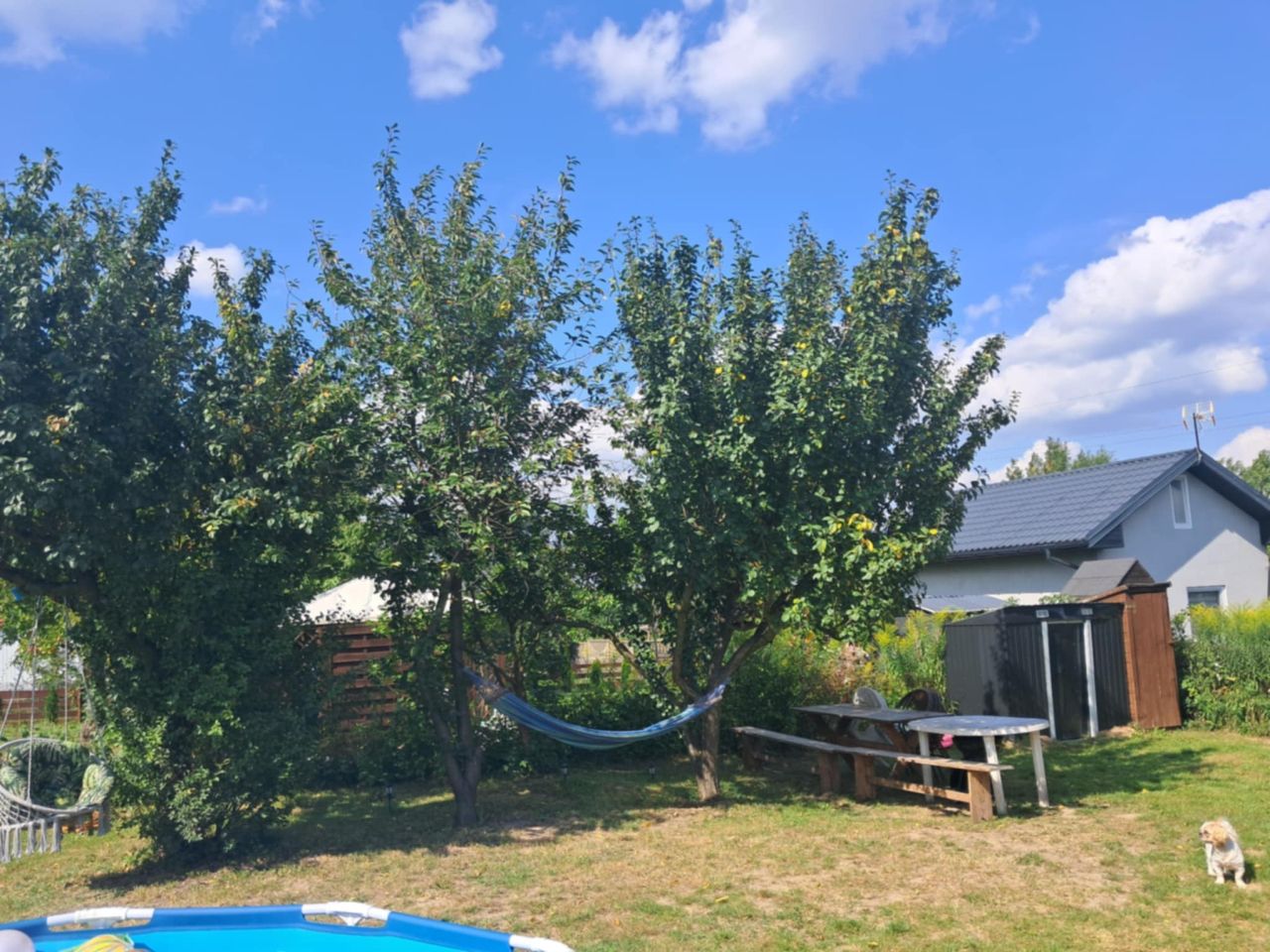 Działka rod Kowal, ul. Dobiegniewska. Zdjęcie 4