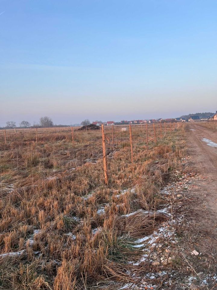 Działka rolno-budowlana Pucice. Zdjęcie 5