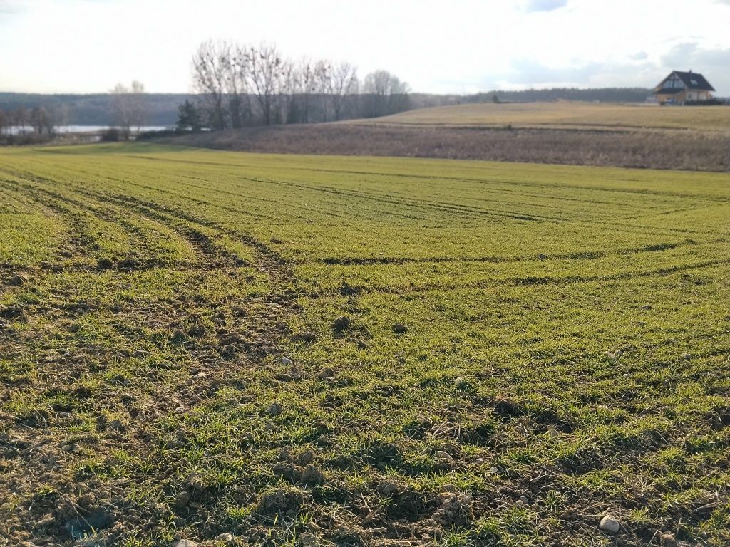 Działka budowlana Nowa Wioska. Zdjęcie 6