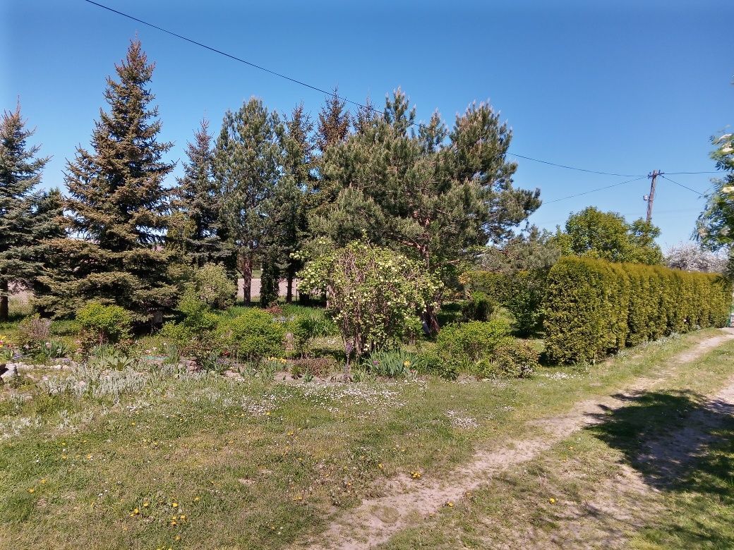 dom wolnostojący, 5 pokoi Jabłonna Lacka, ul. Kwiatowa. Zdjęcie 5