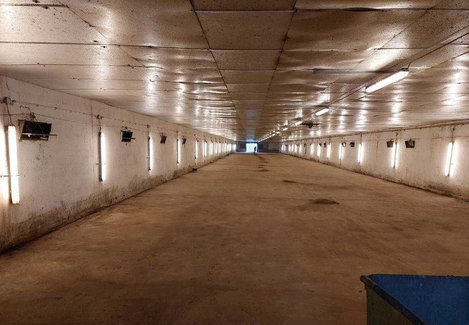 Nieruchomość komercyjna Roków, ul. Rybacka. Zdjęcie 2