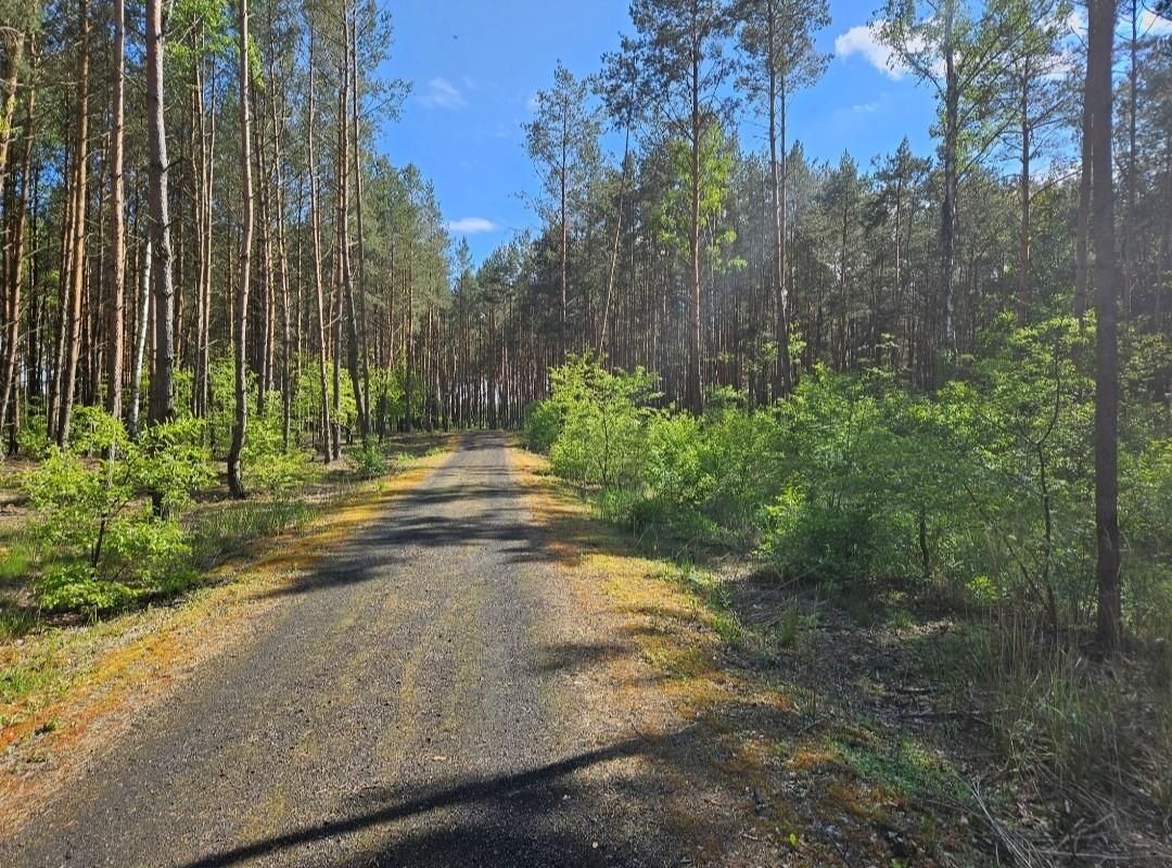 Działka budowlana Solec Kujawski, ul. Garbary. Zdjęcie 6