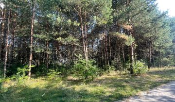 Działka budowlana Trzepieciny