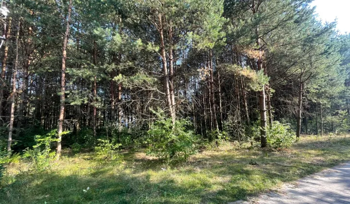 Działka budowlana Trzepieciny