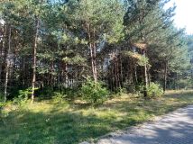 Działka budowlana Trzepieciny