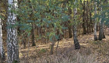 Działka budowlana Bystrzyca