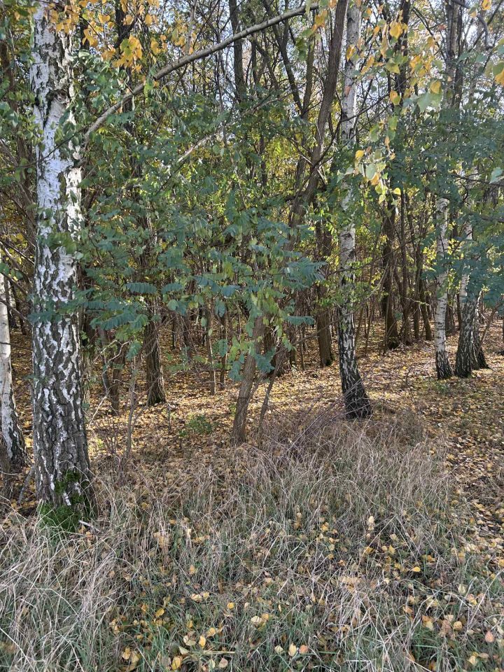 Działka budowlana Olsza