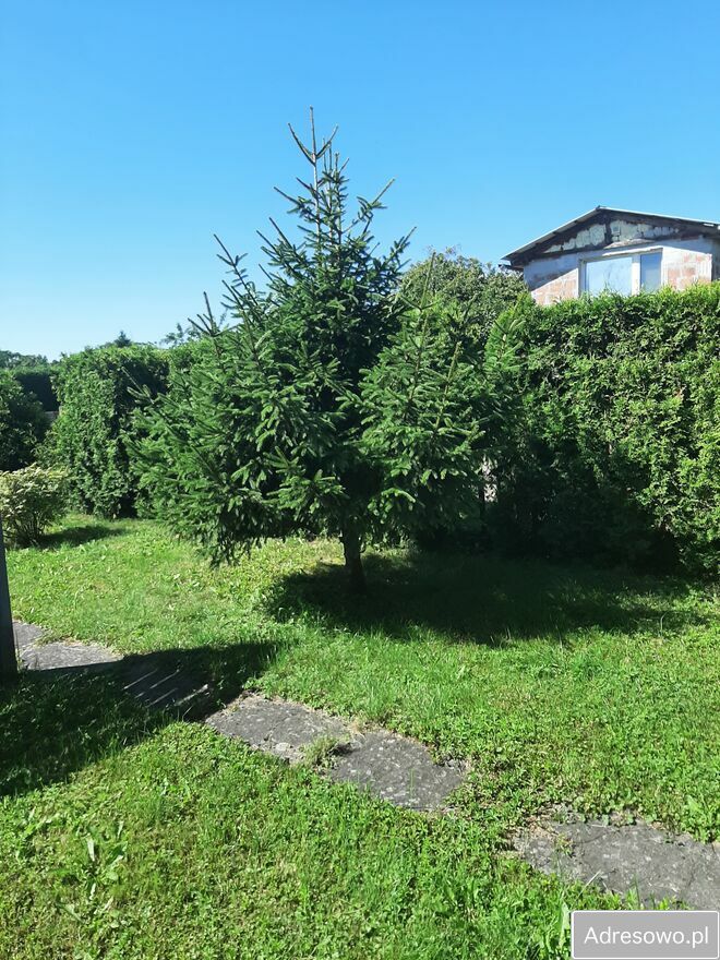 Działka rod Szczecin, ul. Wincentego Witosa. Zdjęcie 13