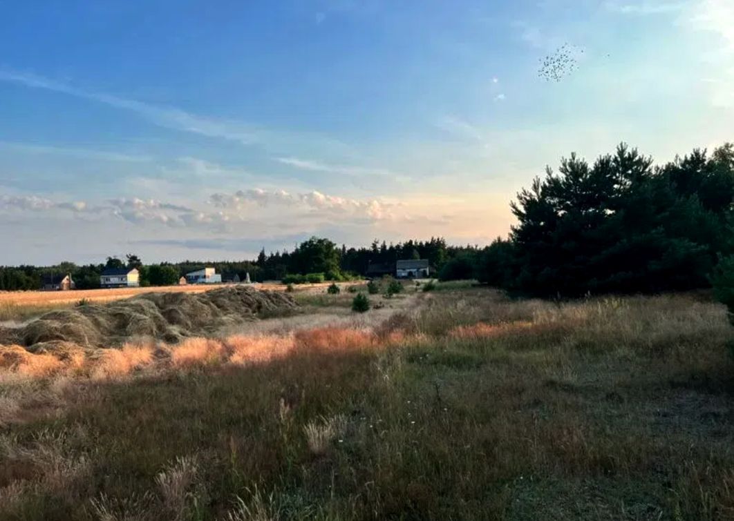 Działka rolna Stęszów. Zdjęcie 4