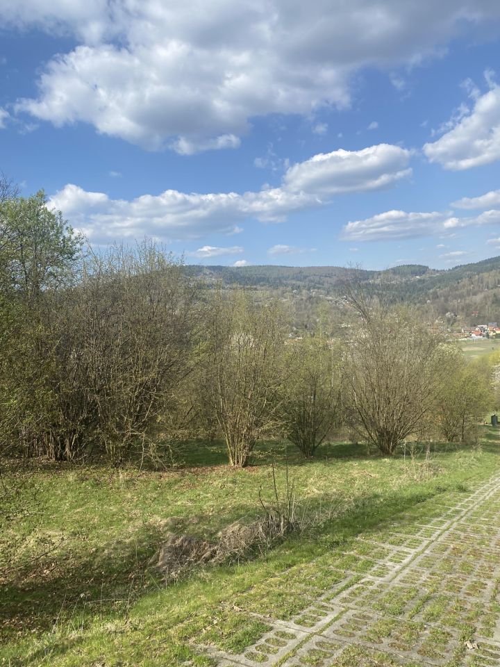 Działka rolno-budowlana Grzechynia Kudziówka Zarąbska, Grzechynia. Zdjęcie 5