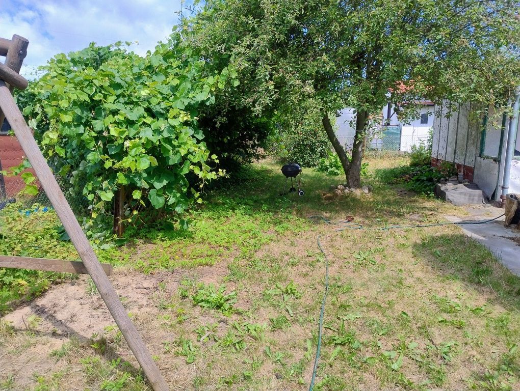Działka rod Szczecin Bukowo, ul. Władysława Nehringa. Zdjęcie 3