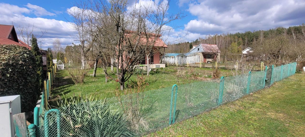 Działka rod Polkowice. Zdjęcie 5