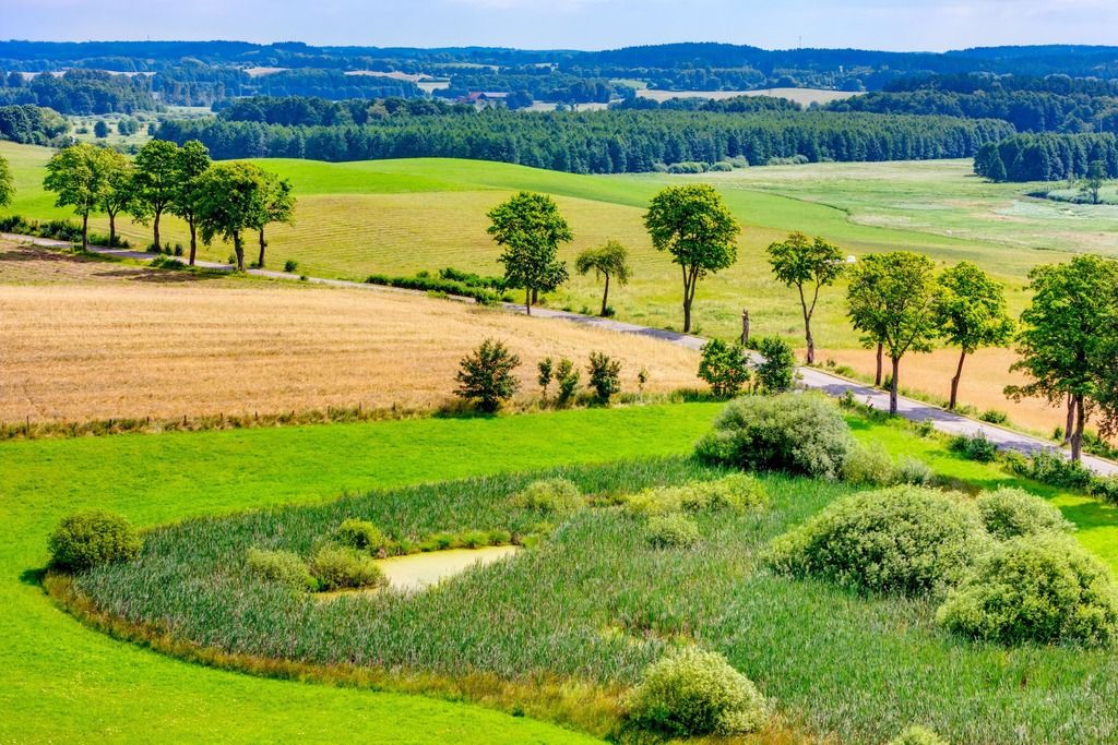 Działka rekreacyjna Mostkowo. Zdjęcie 17