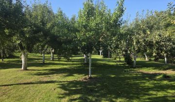 Działka budowlana Przeworno, ul. Szkolna